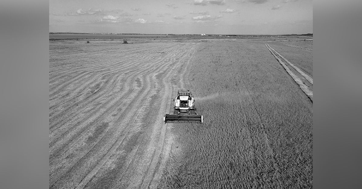 Agro: una concentración que avanza