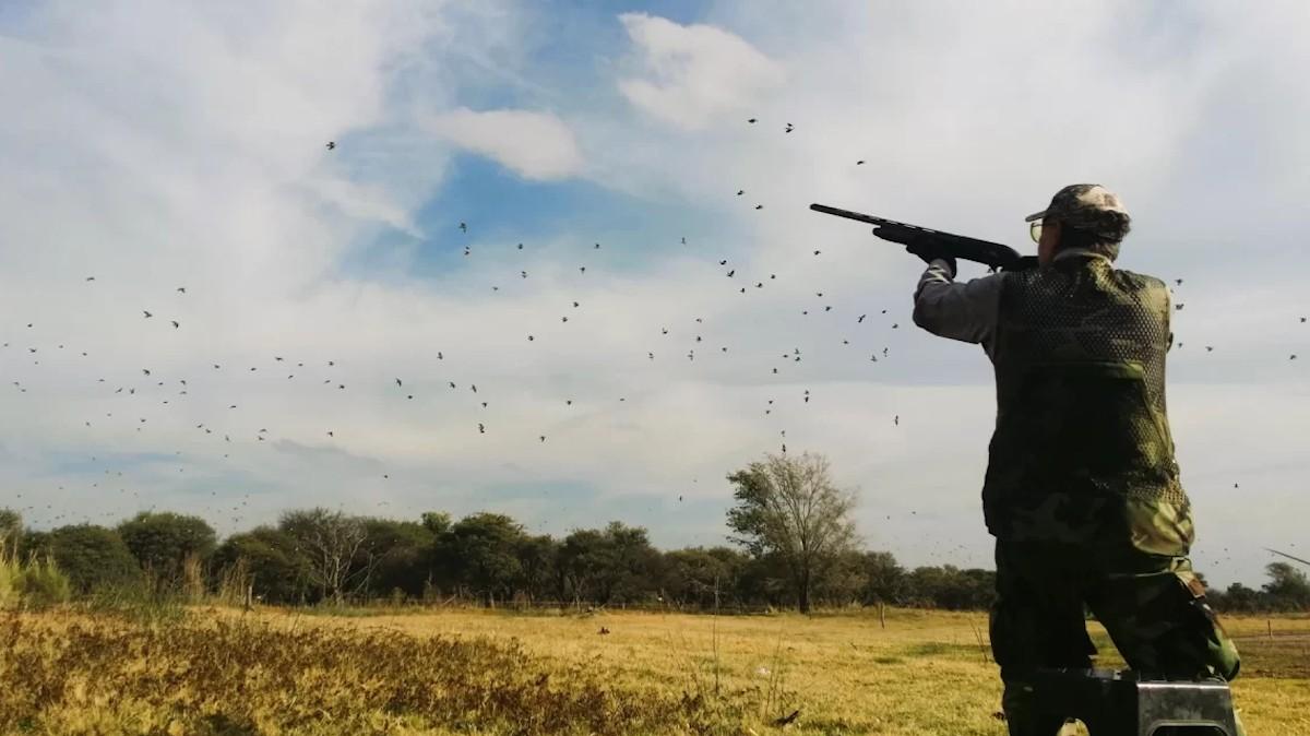 Desde el 3 de agosto regirá la veda de caza menor