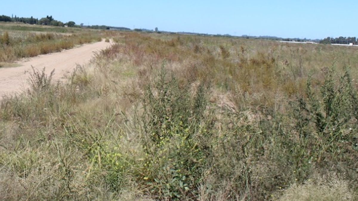 El parque industrial de Rojas